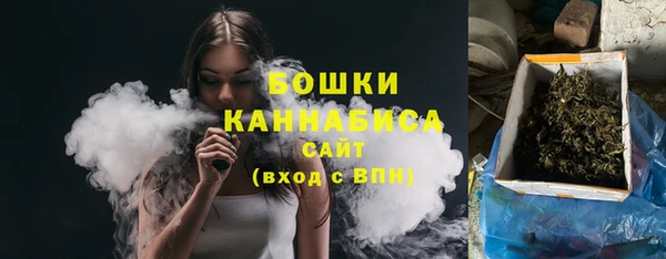 дмт Белокуриха