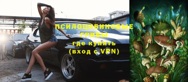 хмурый Покачи