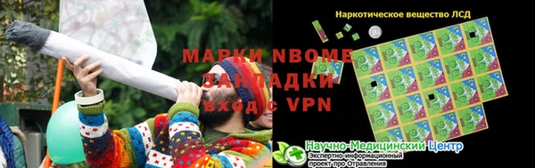 дмт Белокуриха