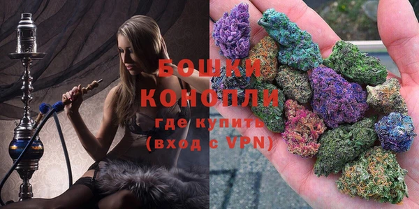 дмт Белокуриха